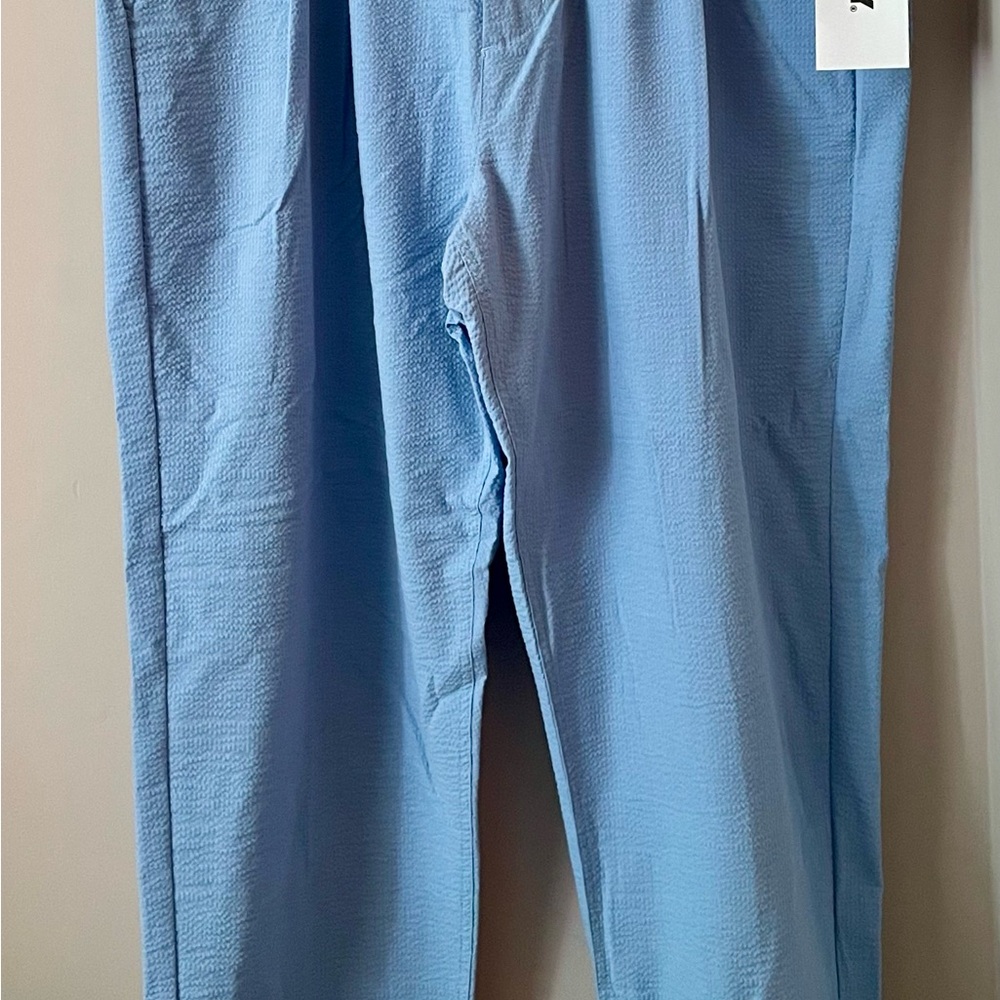 Obey Light Blue Linen Men's Pants